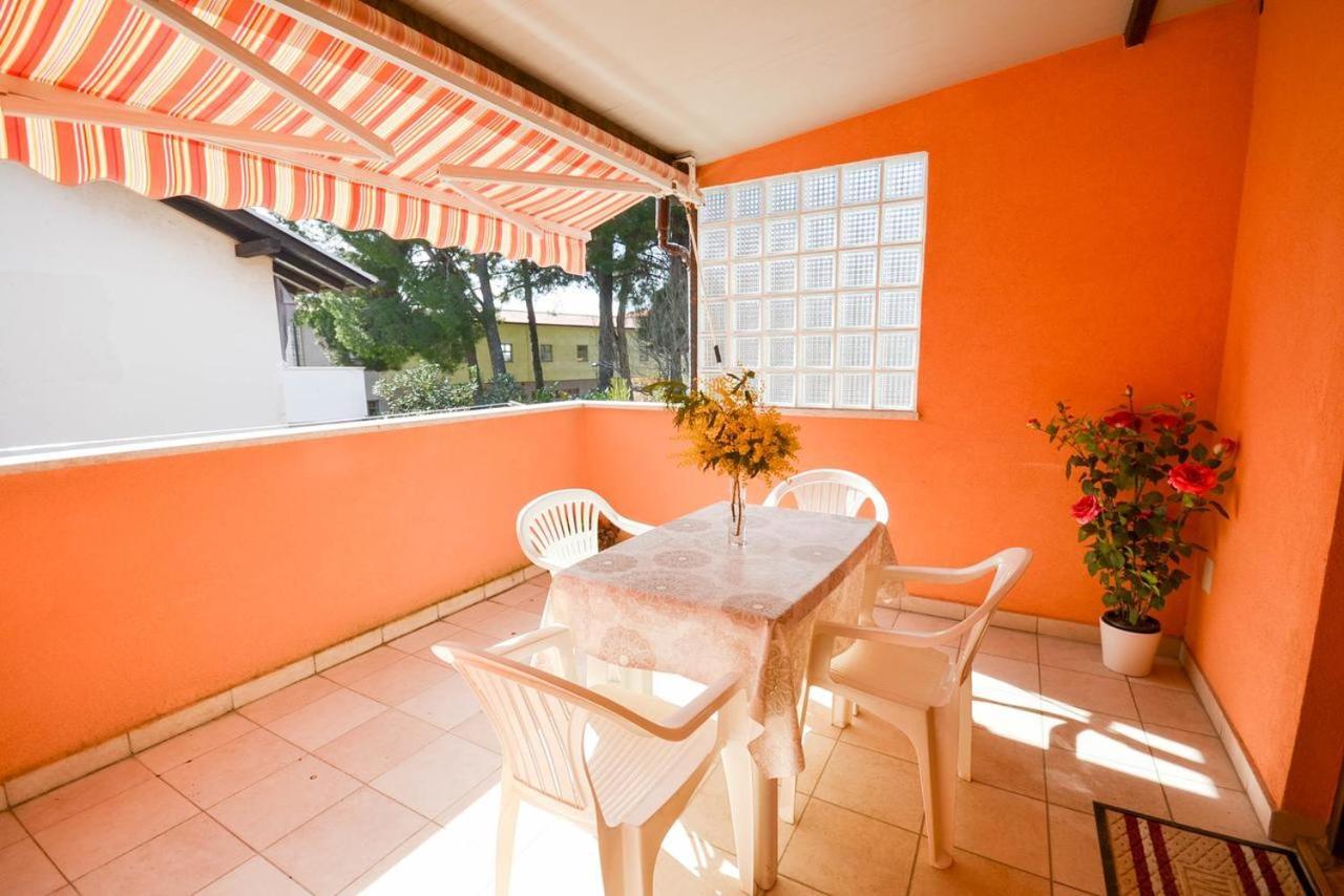 Lili Apartment Novigrad  Exterior photo